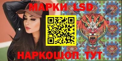 спиды Гай