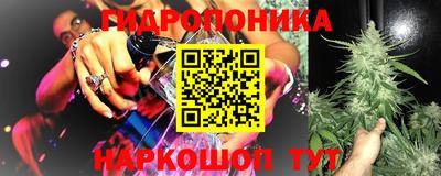 спиды Гай