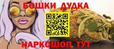 спиды Гай