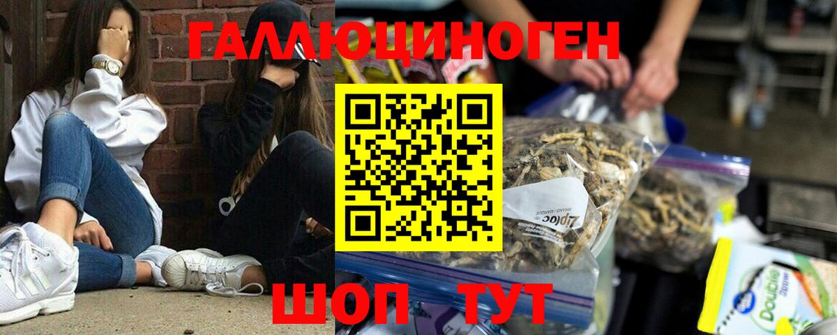 Галлюциногенные грибы мицелий  Вход с VPN  Камень-на-Оби 